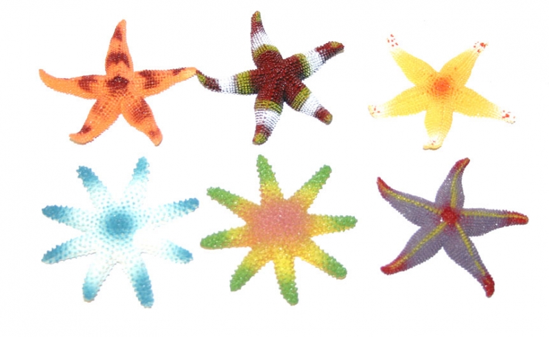 Zvířata hvězdice mořské, 6 ks v sáčku