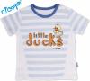 Tričko kr.rukáv Little Ducks - sv. modrý pruh